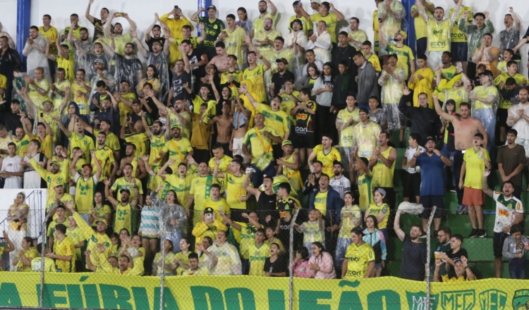 Agenda do Paulista: em casa, Sub-15 e Sub-17 do Verdão buscam vagas na  semifinal – Palmeiras