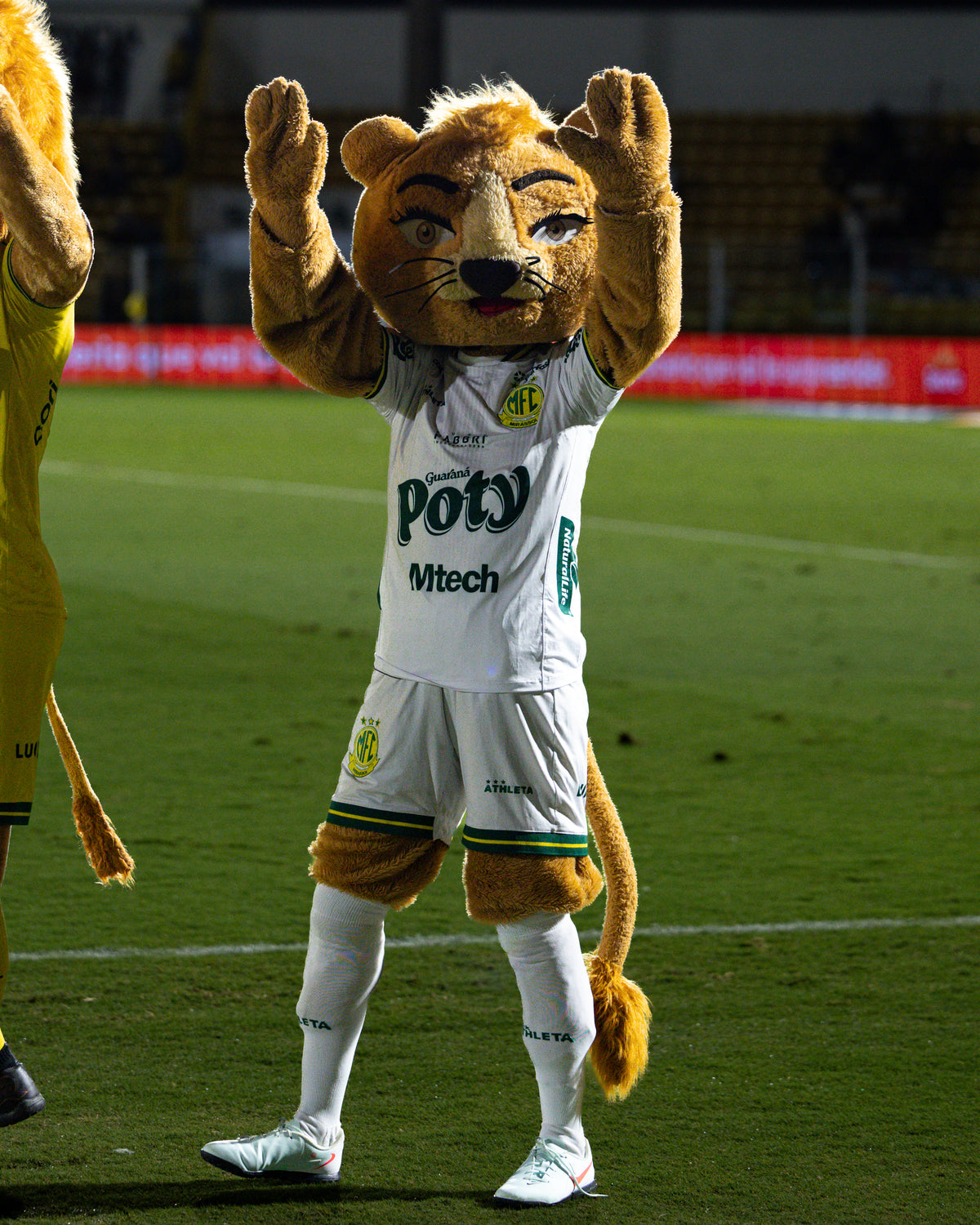 Mirassol x Remo - Brasileirão 2026 JP Pinheiro